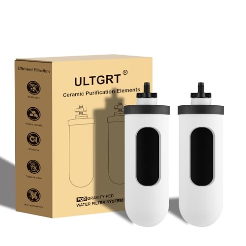 2-Stage Filtration Ceramic Purification Elements Washable and Reusable 8.5-Inch Composite Ceramic Filters Replacement For Gravity Water Filtration System 2 Pack - style: Composite Ceramic Filter