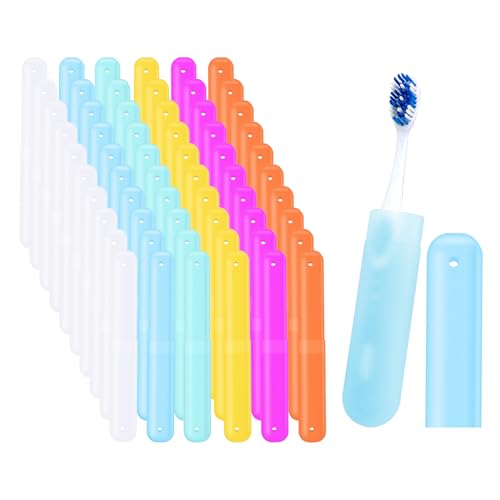 60 Pack Plastic Toothbrush Holders Portable Travel Cases 6 Color