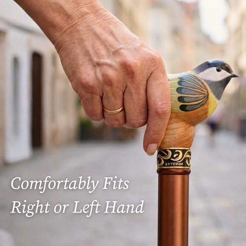 Asterom Canes for Women, Fashionable Bird Walking Cane for Women, Fancy