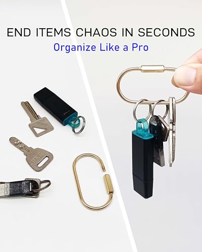 Gold Carabiner Keychain 10-Pack, Brass Screw Lock Key Ring