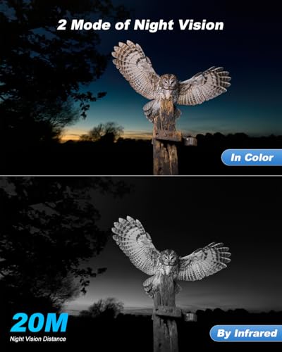 Xega 4G Solar Cellular Wildlife Trail Camera with SIM Card,No WiFi Outdoor | Live Streaming,2K HD,Night Vision,Motion Detection,Game Monitoring,Built-in SIM Only,Data Plan Subscription Required