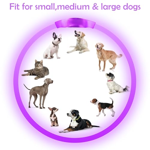 Light up Dog Collar, BSEEN USB Rechargeable Led Flash Dog Necklace Collar - color: Purple