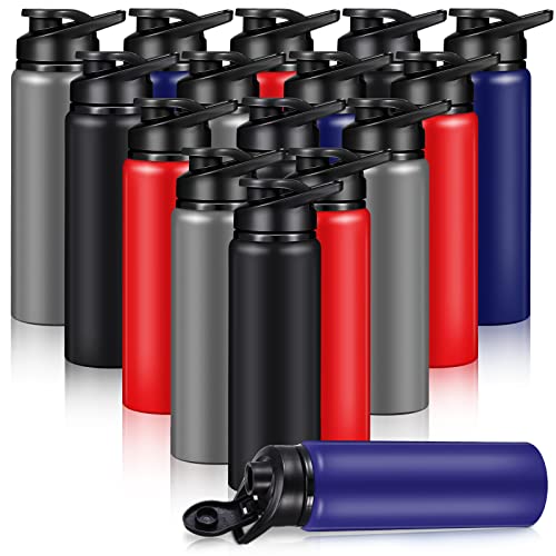 Mimorou 16 Pack Aluminum Water Bottles Bulk,Blue, Black, Red, Gray,25 Oz - color: Blue, Black, Red, Gray, size: 25 oz