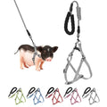 YeeBeny Mini Pig Harness Adjustable with Leash Foam Handle Gren, M - color: Gren, size: M