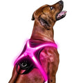 Light Up Dog Harness–Multicolor LED Dog Harness with 7 Lighting Modes | No Pull USB Rechargeable Safety Vest with Handle for Medium Large Dogs | Waterproof & Adjustable Glow-in-The-Dark Illuminated(M) - size: Medium