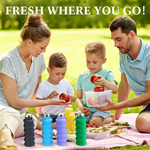 Lallisa 4 Pcs Collapsible Water Bottles 17 oz Reusable Silicone Foldable Travel Water Bottle Portable Leak Proof Sports Water Bottles for Gym Camping Hiking (Blue, Purple, Gray, Green) - color: Blue, Purple, Gray, Green