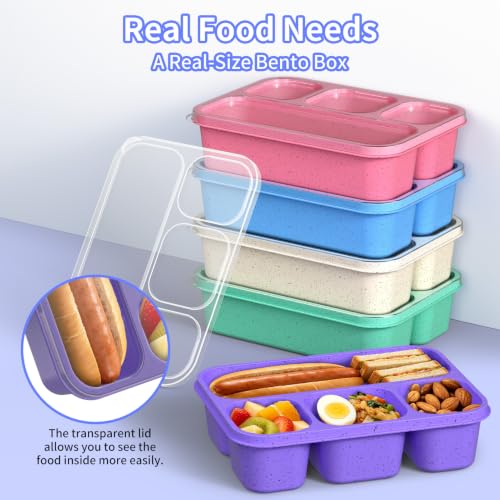 Bento Box 5-Pack, 4-Compartment Lunch Box for Women, Men & Kids, BPA-Free Wheat Straw Snack Containers, Ideal for Meal Prep, Travel, School, Work (Pink) - color: Pink