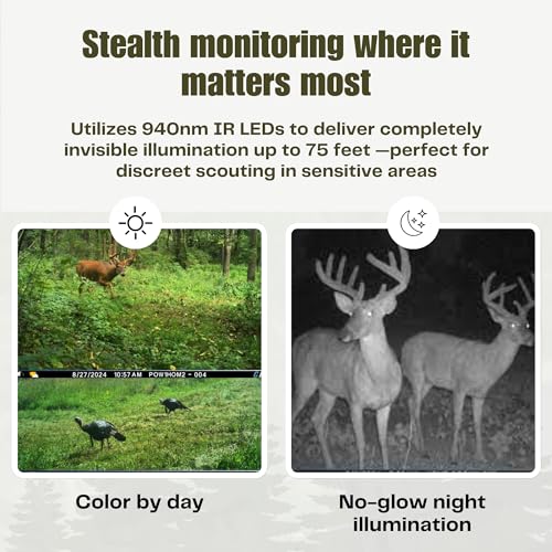Cuddeback Tracks Black Flash LTC-3A LTE Cellular Trail Camera, 1 pack - style: Tracks Black Flash