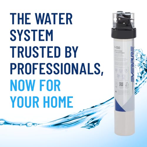 Pentair Everpure H-300 Drinking Water System, EV927076 - style: System