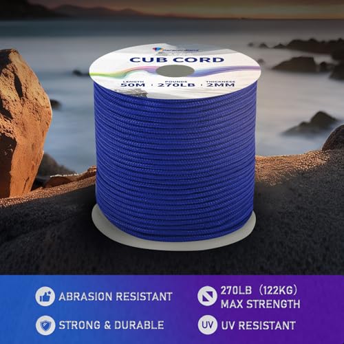 Paracordland-270LB Parachute Cord -164FT-2mm Micro Paracord-Utility Cord Thin Braided Best for Military & Camping Survival Bracelet DIY Projects Fishing Lanyards-Eletric-Blue - style: Eletric-Blue