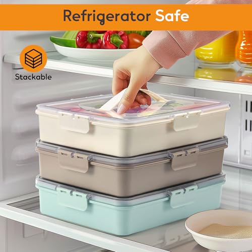 Snackle Box Container for Adults with 9 Compartment, Divided Serving Tray Snack Box Containers with Lid and Handle, Charcuterie Boxes Portable Snack Platter for Fruit Veggie Party Travel, Brown - color: Brown