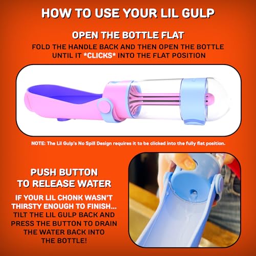 Lil Gulp Dog Water Bottle 15 Fl oz Filtered Portable Travel Bottle (Blue)