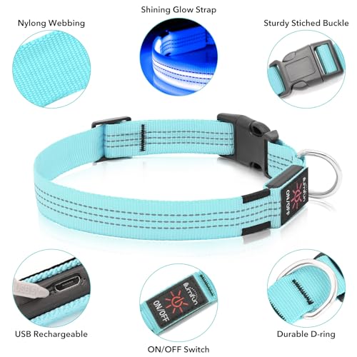 Illumifun Light Up Dog Collar, USB Rechargeable LED Dog Collar, Adjustable Reflective Lighted Pet Collar for Night Walking Camping (BlueⅢ, Large) - color: BlueⅢ, size: Large
