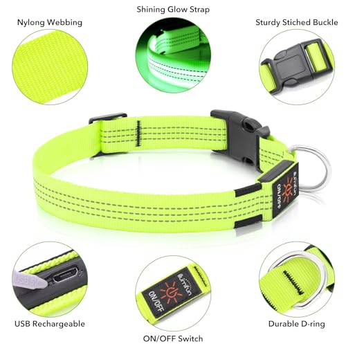 Illumifun Light Up Dog Collar, USB Rechargeable LED Dog Collar, Reflective Flash Pet Lighted Collar for Nighttime Walking (GreenⅢ, Large) - color: GreenⅢ, size: Large