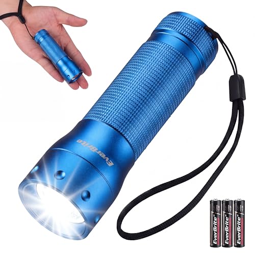 EverBrite Mini Flashlight, Zoomable 350LM LED Flashlight, Blue | Small, 3 Light Modes, Zoomable Beam, 3 AAA Batteries Included, Wrist Strap, Home, Camping & Emergency Use, Holiday Gifts - color: Blue, size: Small