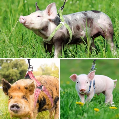 YeeBeny Mini Pig Harness Adjustable with Leash Foam HandleBlue, XL - color: Blue, size: XL