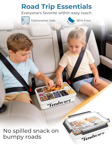 Chilled Snackle Box Container with Ice Pack, Divided Tray with Clear Lid & Bag, 8+Hrs Cooling, Beach Road Trip Essential for Family, Travel Snack Container for Picnic Camping Tailgate, Gifts for Women - color: Transparent