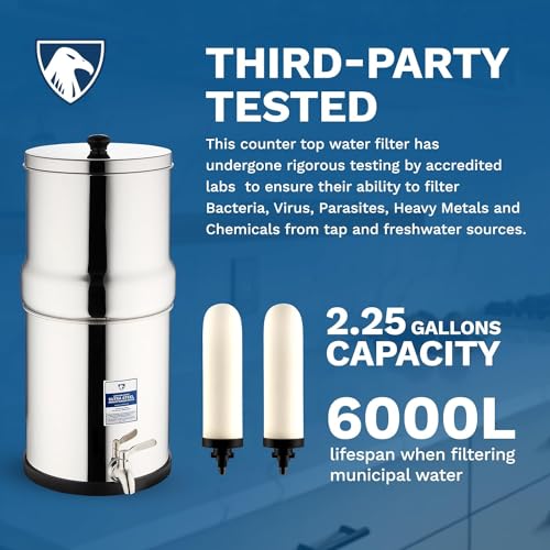 Survivor Filter Ultra Gravity Water Filter Replacement Pack - 2X Ceramic Filter Replacement - Compatible with Big Berkey - Removes Bacteria, Viruses, and Parasites - style: Survivor Filter Ultra Ceramic Replacement Water Filters (Pack of 2)