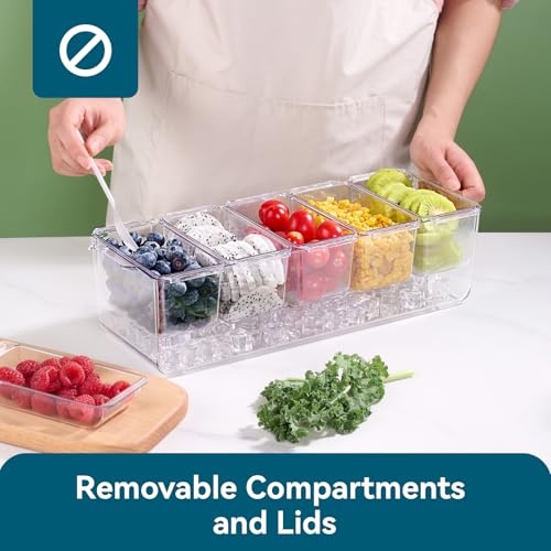 Chilled Garnish Tray with 5 Small Removable Containers and Compartments | Ice Chilled Condiment Organizer Server, Clear Garnish Serving Platter for Fruit, Salad, Food, Outdoor Events, Picnics - size: 1 Pack