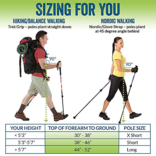York Nordic Ultralight Folding Walking Poles - Travel Ready - with Rubber Feet, Baskets, and Bag - size: Heights under 5'3", style: Trek/Cushion Grips