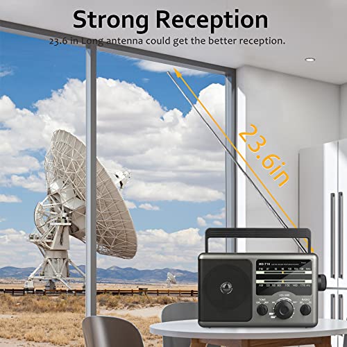 AM FM Portable Radio Battery Operated by 4X D Cell Batteries Or AC Power | Transistor Radio with and Big Speaker, Standard Earphone Jack, High/Low Tone Mode, Large Knob