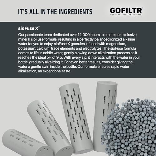GOFILTR Alkaline Water Infuser - 9.5 pH + Electrolytes for Any Water Bottle/Small Pitcher, 750 Refills / 3 Months, Ionized Mineral Water Infuser (1 Pack) - color: Alkaline - Original