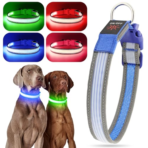 LED Dog Collar, Dog Light Up Collar,for Night Walking (Medium, Blue-2) - color: Blue-2, size: Medium