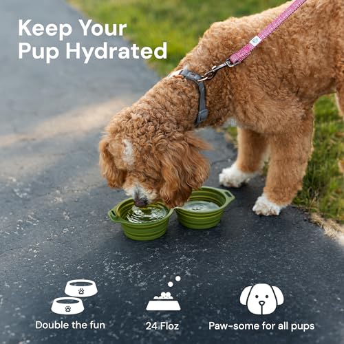 Silicone Dog Bowl *New* - color: Tan