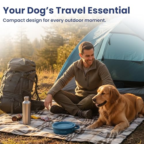 PawsPik 2-in-1 Travel Dog & Cat Bowl – Collapsible BPA-Free Silicone - color: Midnight Summit Blue