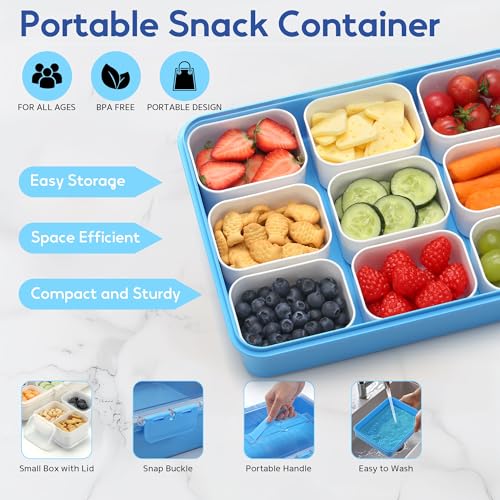 Snackle Box Container for Adults with 9 Compartment, Divided Serving Tray Snack Box Containers with Lid and Handle, Charcuterie Boxes Portable Snack Platter for Fruit Veggie Party Travel, Blue - color: Blue