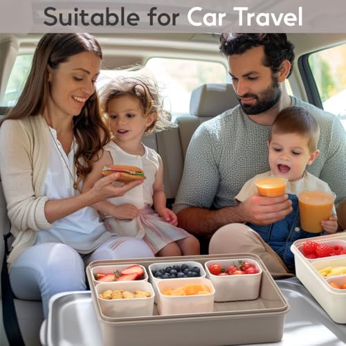 Snackle Box Container for Adults with 9 Compartment, Divided Serving Tray Snack Box Containers with Lid and Handle, Charcuterie Boxes Portable Snack Platter for Fruit Veggie Party Travel, Brown - color: Brown