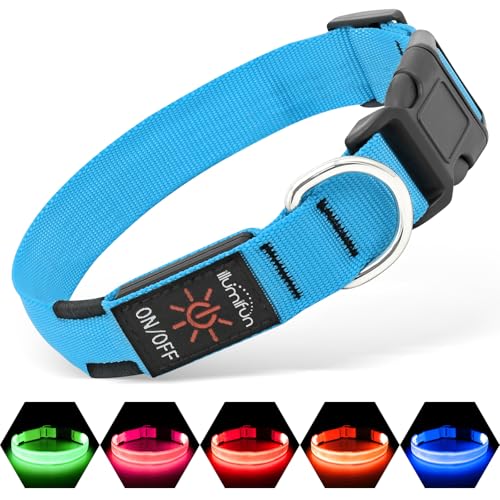 Illumifun LED Dog Collar, USB Rechargeable Light Up Dog Collar, Adjustable Pet Safety Light Glow in the Dark (Blue, Medium) - color: Blue, size: Medium