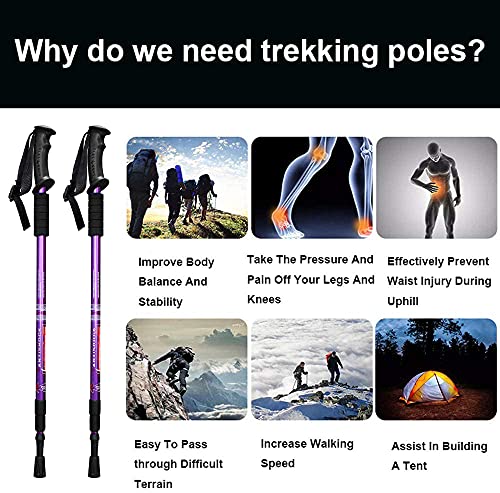 Aihoye Hiking Trekking Poles, 2 Pack Walking Hiking Sticks for Men &Women | Collapsible, Lightweight, Anti Shock and Quick Lock System - color: purple