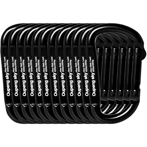 Carabiner Clip - Heavy Duty Carabiners 800lbs-13KN (2922 lbs) Carabeaner D Ring Shape,Key Chain Clip Hook,Keychain Clip,Multipurpose for Camping, Hiking,Backpacking or Other Outdoor Activities. - style: 12PCS 2.5 Inch(800 lbs)