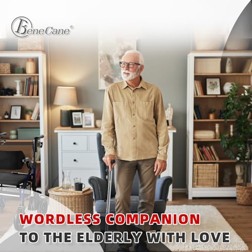 BeneCane Walking Cane for Men & Women Walking Stick for Seniors Folding Canes Quad Cane Adjustable Lightweight Sturdy Collapsible Heavy Duty with Soft TPR T-Handle and Travel Bag - color: Gray