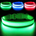 YFbrite Light up Dog Collar, USB Rechargeable LED Puppy Collar Super Bright Adjustable Glowing Dog Lights for Night Walking (Design 2-Green, Large) - color: Version 2.0-- Green, size: Large