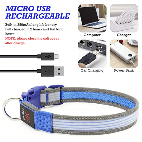 LED Dog Collar, Dog Light Up Collar,for Night Walking (Medium, Blue-2) - color: Blue-2, size: Medium