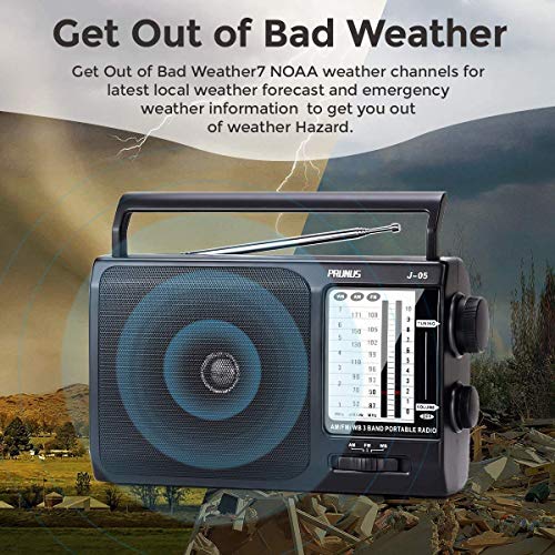 NOAA Weather AM FM Portable Radio, 3 D Batteries or AC Adapter Powered
