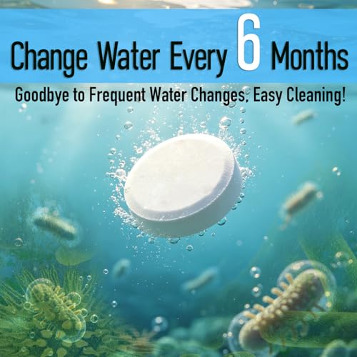 Water Purification Tablets for Rowing Machines, Bulk Pack for Home & Gym Use | Long-Lasting Tank Cleaner, Odor Removal & Eco-Friendly Water Treatment (20)