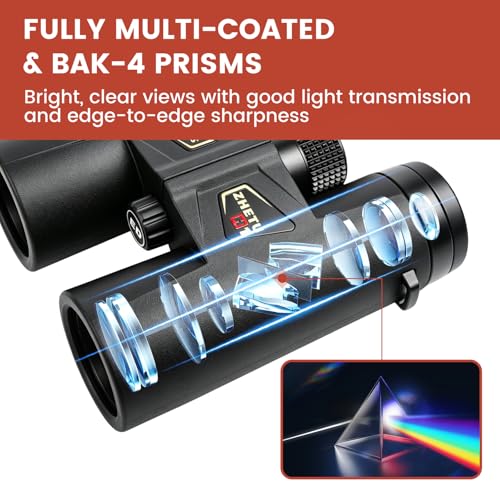 ED 10x42 Professional Binoculars for Adults High Powered, Fully Multi-Coated Lenses, Super Bright BAK4 Prism Waterproof Compact Binoculars for Bird Watching Hunting Stargazing Hiking Cruise Travel - color: Black 10x42