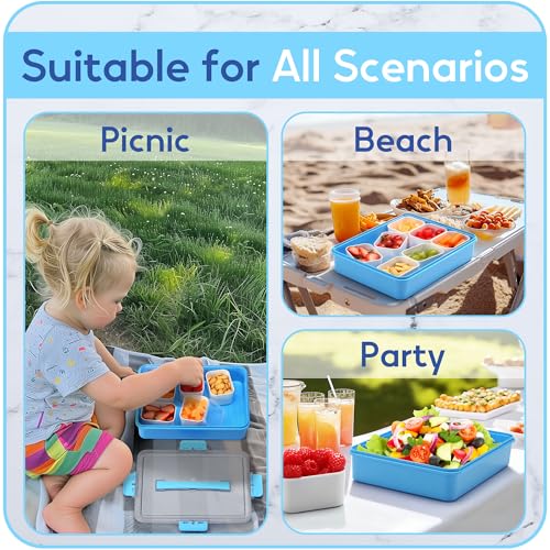 Snackle Box Container for Adults with 9 Compartment, Divided Serving Tray Snack Box Containers with Lid and Handle, Charcuterie Boxes Portable Snack Platter for Fruit Veggie Party Travel, Blue - color: Blue