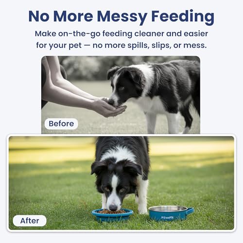 PawsPik 2-in-1 Travel Dog & Cat Bowl – Collapsible BPA-Free Silicone - color: Midnight Summit Blue