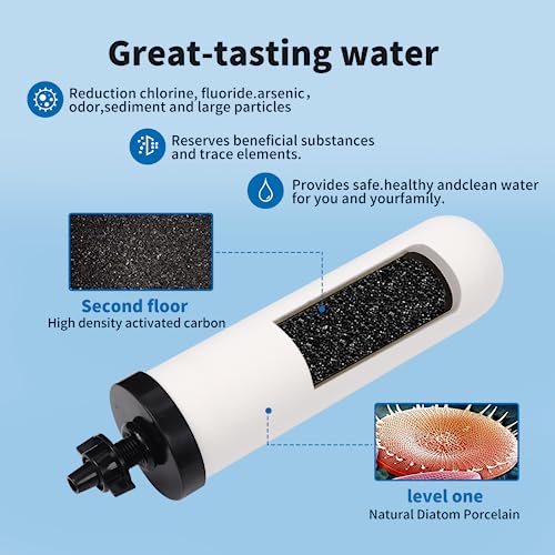 2 Pack 7'' ceramic water filter Candle with Activated Carbon - style: 7inch-2