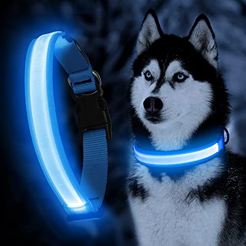 LED Dog Collar, Dog Light Up Collar,for Night Walking (Blue, Small) - color: Blue, size: Small