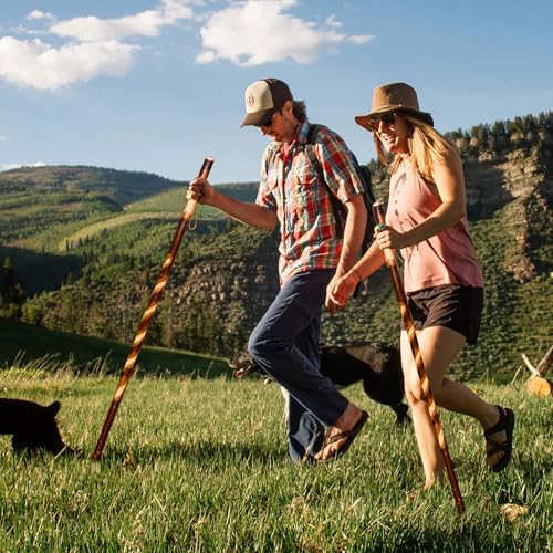 Rustic Wooden Walking Sticks for Hiking - Handcrafted Walking Sticks for Kids, Women & Men - Hiking Staffs with Leather Wrist Strap & Non-Slip Rubber Tip for Maximum Traction - size: 40", style: Twistik