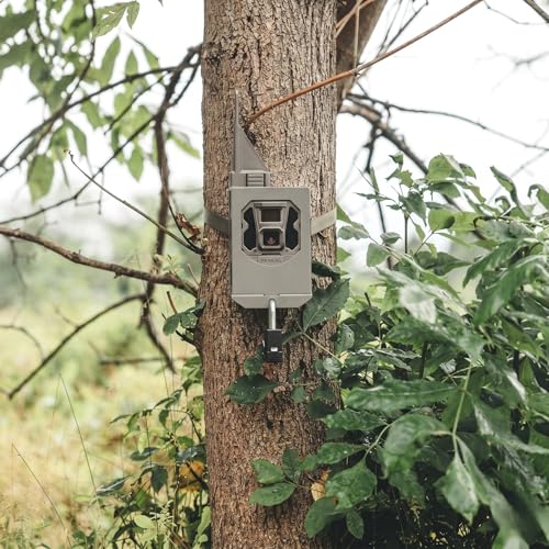 TACTACAM Reveal Security Box, Steel Trail Camera Lock Box | Rust-resistant coating; deters theft & animal damage; padlock compatible; fits X, X2.0, X3.0, Pro3.0, Ultra, XB, X-Pro