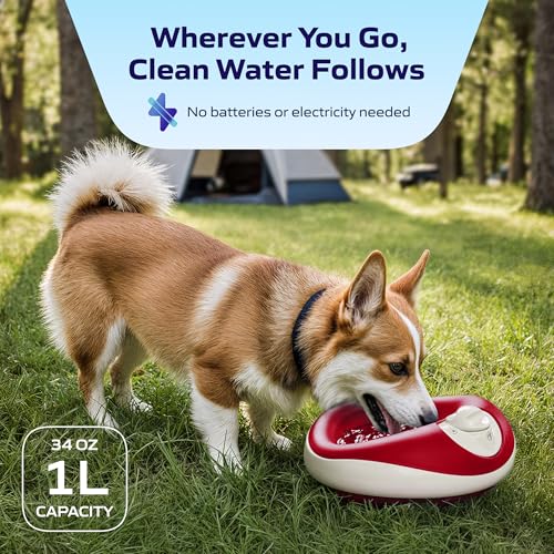 Mini Portable Filtered Water Bowl for Cats & Small Dogs, 1L/34oz – Auto-Refill & No-Spill Water Dispenser with Carbon Filter - No Power or Batteries Needed - Red - color: Red, size: Mini (34 oz / 1L)