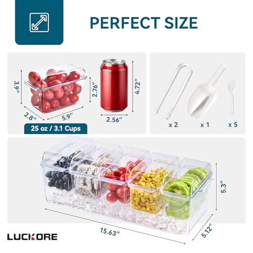 Chilled Garnish Tray with 5 Small Removable Containers and Compartments | Ice Chilled Condiment Organizer Server, Clear Garnish Serving Platter for Fruit, Salad, Food, Outdoor Events, Picnics - size: 1 Pack