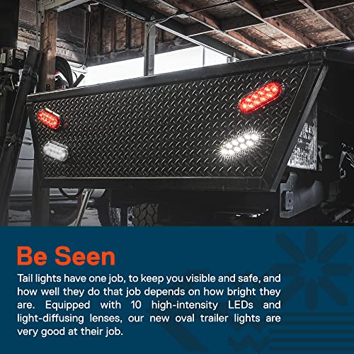 TRUE MODS 2pc 6" Clear White Oval LED Reverse Trailer Tail Light for RV | DOT FMVSS 108, Surface Mount, IP67 Submersible, Park & Turn Signal, LED Trailer Tail Brake Lights, Stop Turn Tail Park Brake - color: White, size: 2 Pack