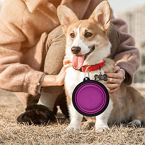 Guardians Large Collapsible Dog Bowls, 34oz Travel Water Food Bowls Portable Foldable Collapse Dishes with Carabiner Clip, 2 Pack (Blue + Purple) - color: 34oz-Blue&Purple